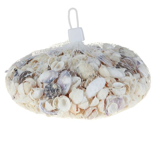 Artikel Muschel Deko Mini Herzmuscheln Schneckenhäuser 1–3cm 340g