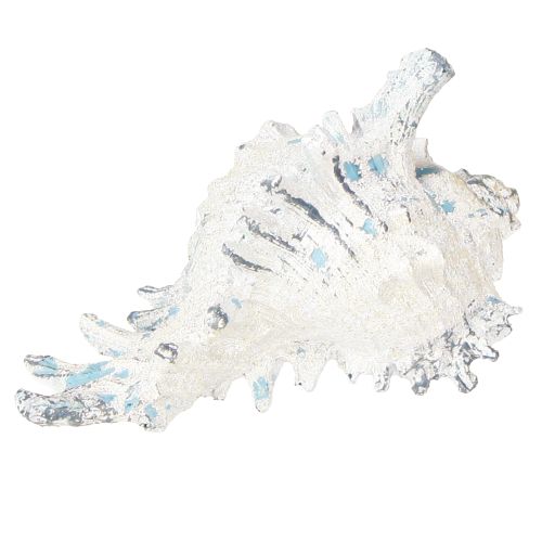 Floristik24 Muschel Deko Seeschnecke künstlich Blauweiß 11,5/13cm 2 St