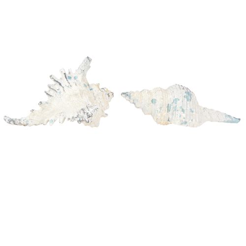 Artikel Muschel Deko Seeschnecke künstlich Blauweiß 11,5/13cm 2 St