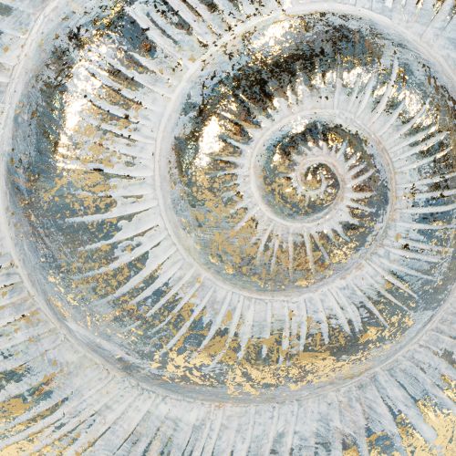 Artikel Dekogefäß in Schneckenform für maritime und natürliche Wandgestaltung grau 21cm