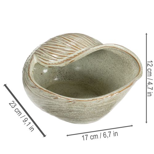 Artikel Keramik Schale Seeschnecke Design für elegante Dekoration im Wohnzimmer 23cm