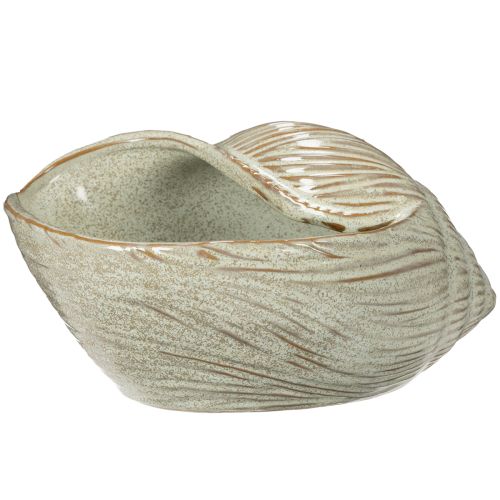 Keramik Schale Seeschnecke Design für elegante Dekoration im Wohnzimmer 23cm | Floristik24.de