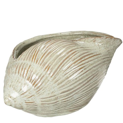 Keramik Schale Seeschnecke Design für elegante Dekoration im Wohnzimmer 23cm | Floristik24.de