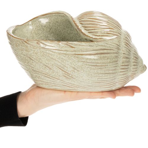 Keramik Schale Seeschnecke Design für elegante Dekoration im Wohnzimmer 23cm | Floristik24.de