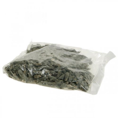 Floristik24 Naturartikel, Schneckenmuscheln Natur 6–10mm, Meeresdeko 1kg