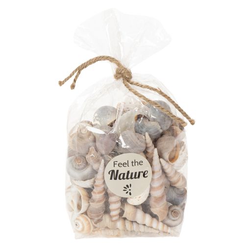 Muscheln und Schnecken Natürliche maritime Dekorationsartikel für eine stilvolle Raumgestaltung 500g | Floristik24.de