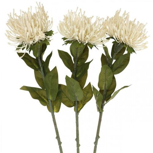 Artikel Nadelkissen Kunstblumen Exoten Protea Leucospermum Creme 73cm 3St