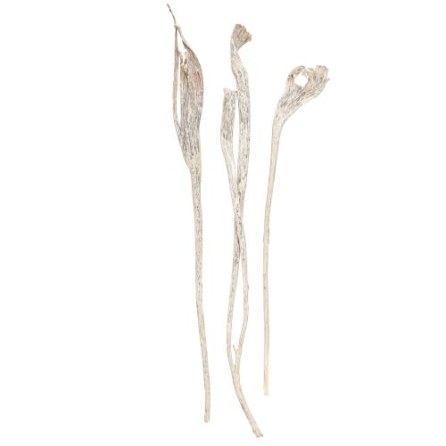 Artikel Natraj Geweihholz Mix Weiß gewaschen 10 St