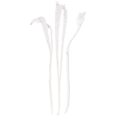 Floristik24 Natraj Geweihholz Mix gebleicht 10 St