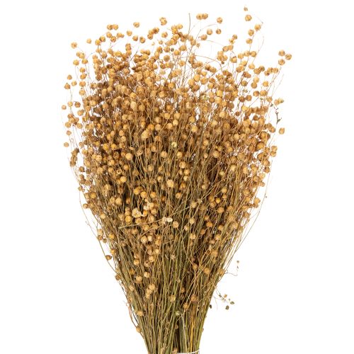 Artikel Natürlicher Flachs getrocknet Gräser für Trockenfloristik Linum Natur 60cm 180g