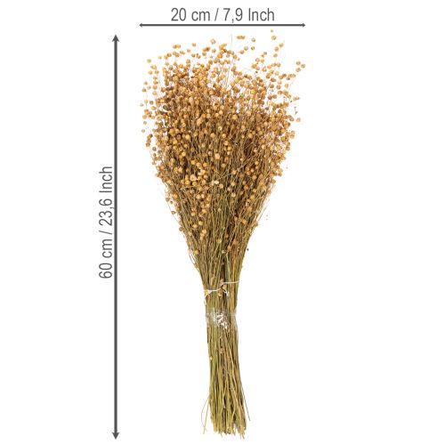 Artikel Natürlicher Flachs getrocknet Gräser für Trockenfloristik Linum Natur 60cm 180g