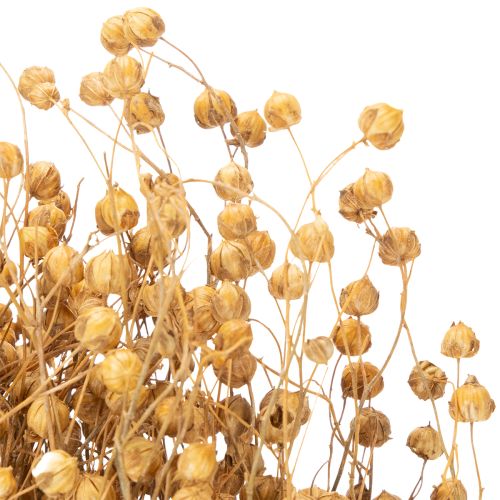 Artikel Natürlicher Flachs getrocknet Gräser für Trockenfloristik Linum Natur 60cm 180g