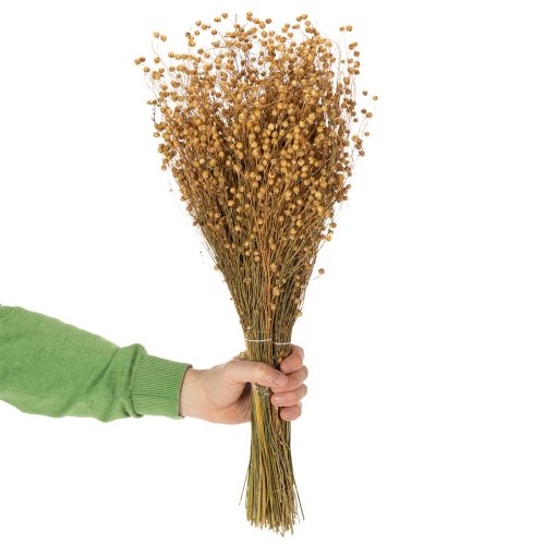 Artikel Natürlicher Flachs getrocknet Gräser für Trockenfloristik Linum Natur 60cm 180g