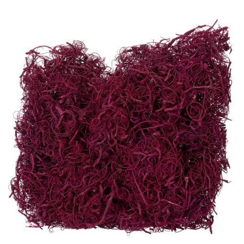 Naturfaser Tamarind Fibre Bastelbedarf Weinrot 500g - Deko, Floristik, Kreativ kaufen | Floristik24.de