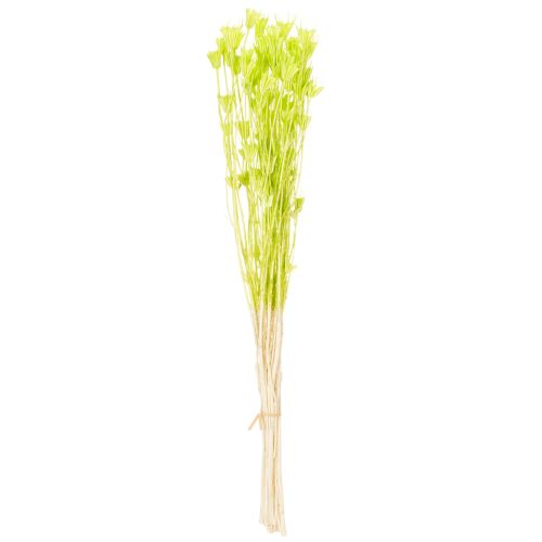 Artikel Trockenblumen Nigella bezaubernd natürliche Raumdekoration für zu Hause 70cm 50g
