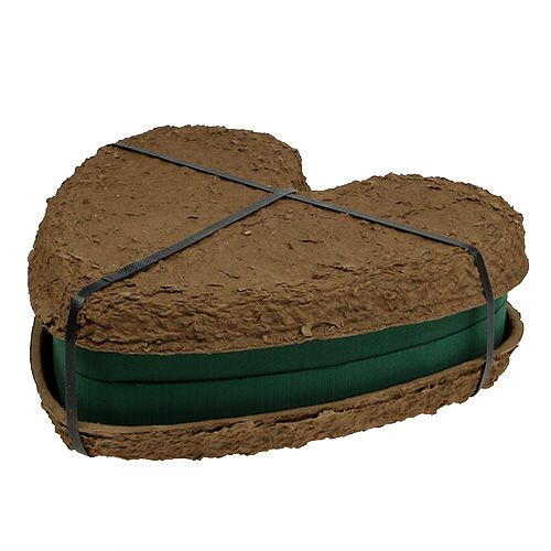 Artikel OASIS® Biolit® Herz groß 34cm 2 St