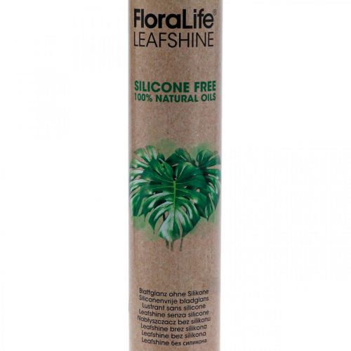 Artikel Oasis Floralife Blattglanz Blattglanzspray 750ml