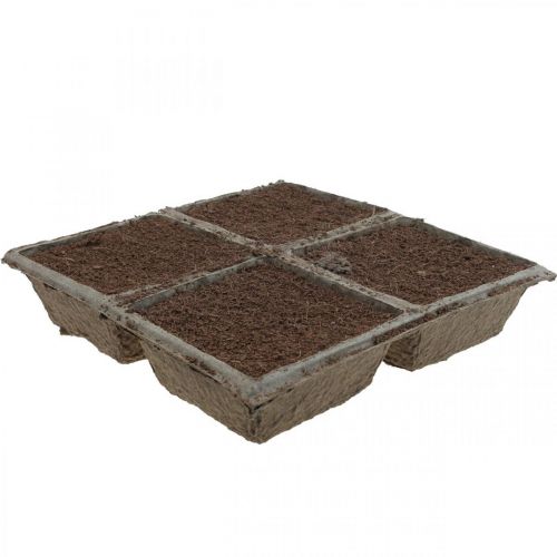 Floristik24 OASIS® TerraBrick™ Nachhaltige Steckmasse aus Kokosfaser 8 St
