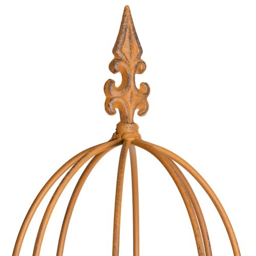 Rankgitter Garten Kletterhilfe für Rosen und andere Rankpflanzen ideale Gartengestaltung 108cm Set mit 2St | Floristik24.de