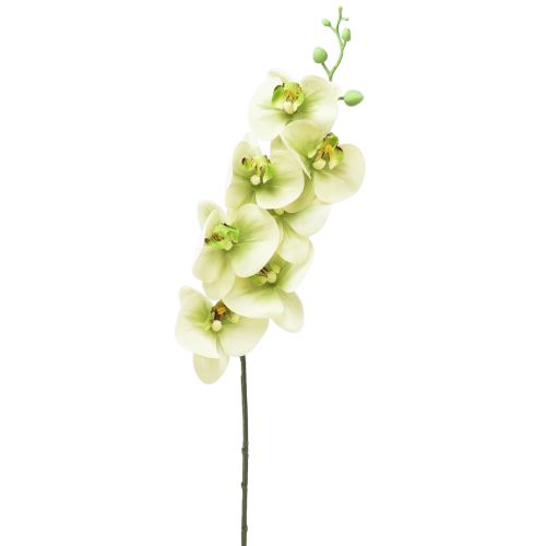 Floristik24 Orchidee Künstlich Gelb Grün Phalaenopsis L83cm