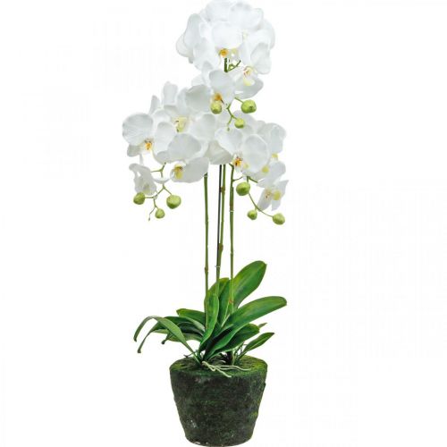Künstliche Orchideen für den Topf Weiß 80cm