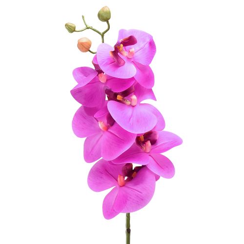 Floristik24 Künstliche Orchidee Phalaenopsis Orchidee Pink 78cm