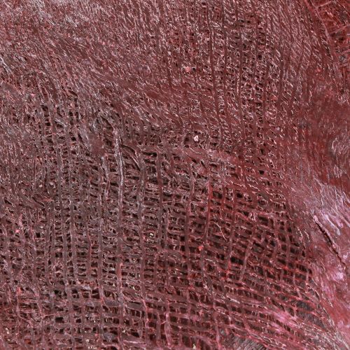 Artikel Palmfaser zum Basteln Bordeaux Weiß gewaschen 20-40cm 250g