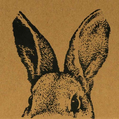 Artikel Geschenktüte Ostern Papiertüte Hase Braun 12×6×15cm 8 St