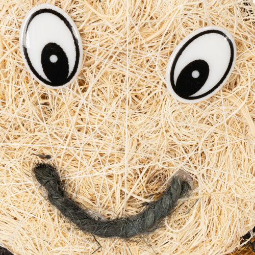 Artikel Übertopf Biene als dekorativer Pflanzkorb für verspielte Raumgestaltung Frühling und Sommer 24cm 2St