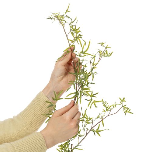 Asparagus Girlande für festliche Raumdekoration und stilvolle Anlässe 170cm | Floristik24.de