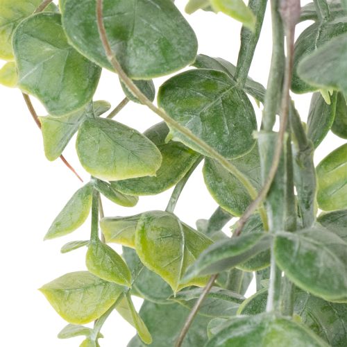 Artikel Künstliche Girlande Eukalyptus Hängepflanze für Heimdekoration im Innen und Außenbereich 92cm