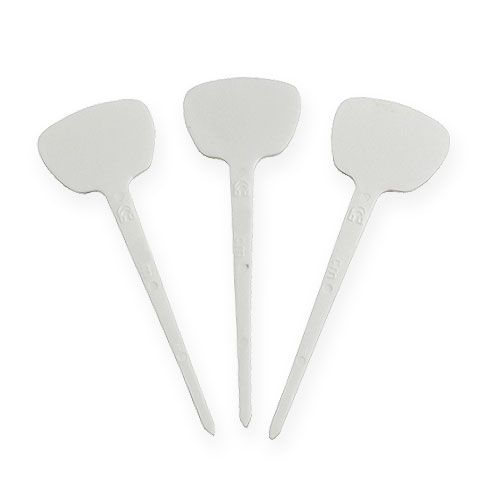 Floristik24 Pflanzensteckschild 10cm 100St