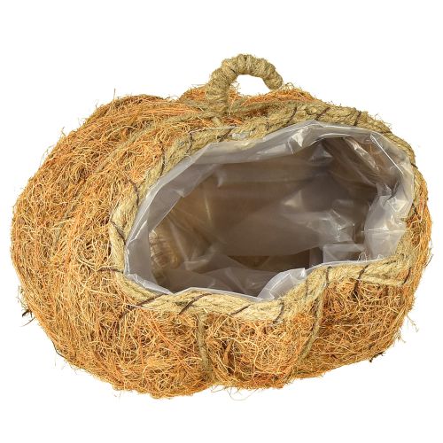 Floristik24 Pflanzkorb Kürbis Herbstdeko Orange Ø22cm H17cm