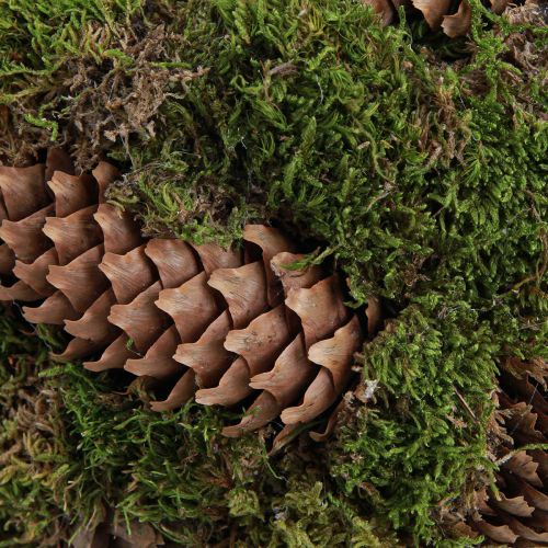 Artikel Pflanzkorb Moos Fichtenzapfen Korb mit Henkel Ø32cm H42cm