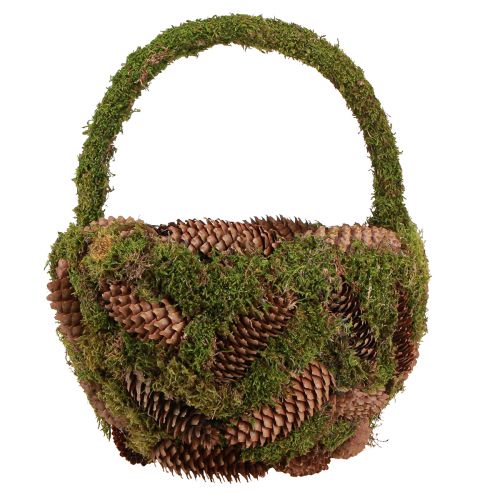 Artikel Pflanzkorb Moos Fichtenzapfen Korb mit Henkel Ø32cm H42cm