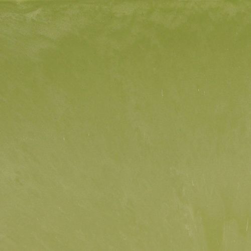 Artikel Pflanzschale oval Grün Schale Kunststoff 27×11×10cm 3St