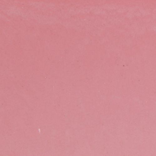 Artikel Pflanzschale oval Pink Dekoschale Kunststoff 20×10×11cm 3St