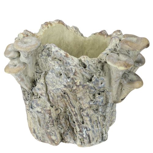 Floristik24 Pflanztopf Steinguss Übertopf mit Pilzen Baumstumpf 16cm