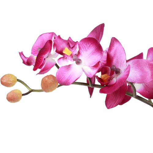 Artikel Künstliche Orchideen im Topf Phalaenopsis Kunstblumen Orchideen Pink 34cm