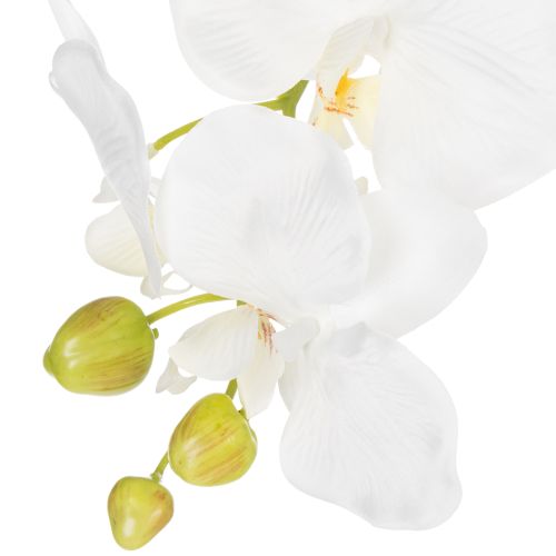 Artikel Kunstpflanze Orchidee täuschend echt für Büro und Wohnzimmer Dekoration 62cm