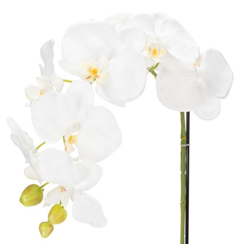 Artikel Kunstpflanze Orchidee täuschend echt für Büro und Wohnzimmer Dekoration 62cm