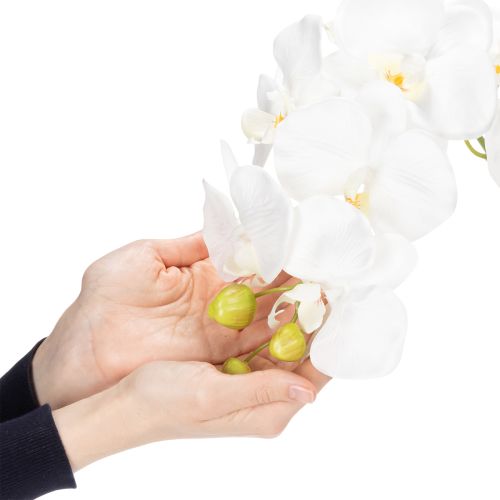 Artikel Kunstpflanze Orchidee täuschend echt für Büro und Wohnzimmer Dekoration 62cm