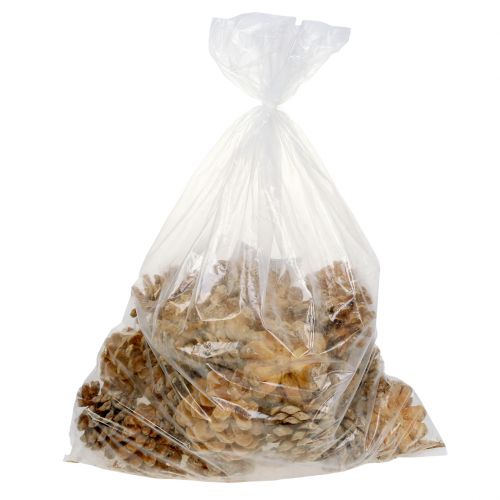 Artikel Pinienzapfen Pinus Pinea Zapfen creme gemischt 5-18cm 25 St