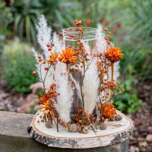 Artikel Plumosum 1 Orange 25 St