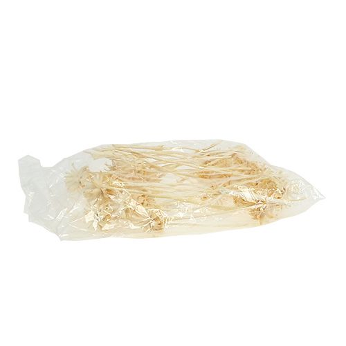 Artikel Plumosum 1 gebleicht 25 St