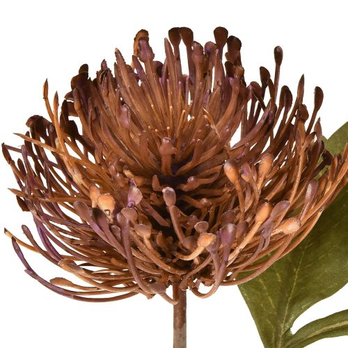 Artikel Protea künstlich Nadelkissen Leucospermum Lila 30cm 6 St