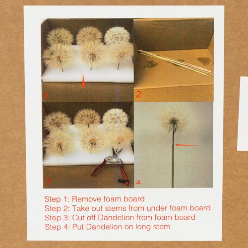 Trockenblumen Riesen Pusteblume Deko Edles Wohnaccessoire 12cm 4St | Floristik24.de
