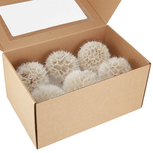 Artikel Deko-Pusteblume in Weiß – Filigrane Trockenblumen für stilvolle Arrangements Ø11cm 6 St