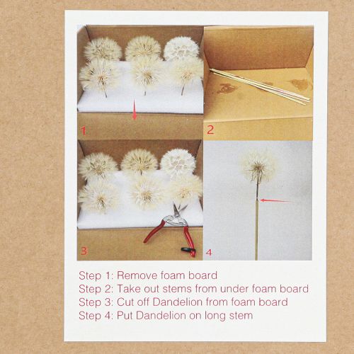 Artikel Deko-Pusteblume in Weiß – Filigrane Trockenblumen für stilvolle Arrangements Ø11cm 6 St