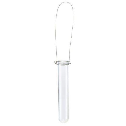 Floristik24 Reagenzglas Deko Glas zum Hängen Minivase Ø2,4cm H22,5cm